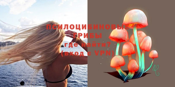 соль ск Алзамай