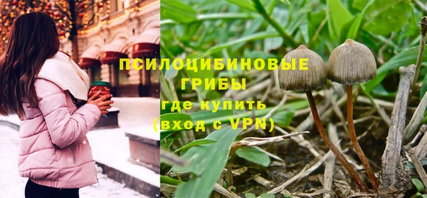 винт Алексин