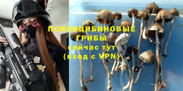 винт Алексин