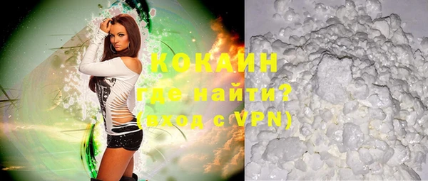 соль ск Алзамай
